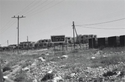 ישיבת הר עציון, 1978
צילום:  ישראל סיני