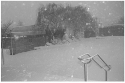 תמונות שלג שצילם יהודה והב